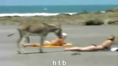 Seperti kaki yang indah, anda dapat memberitahu jepang bokep online kami
